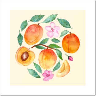 Apricot Abundance Posters and Art